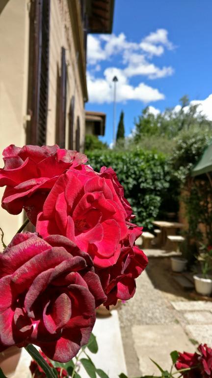 La Chicca B&B Siena Eksteriør bilde